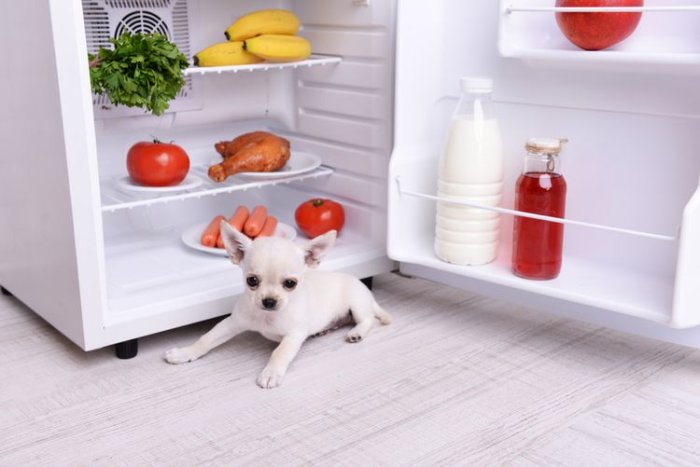 Mini chladnička – jak si ji vybrat?