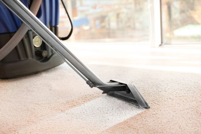 Karcher SE 4001 carpet cleaning - tepování koberce 