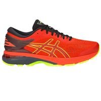 Asics Gel Kayano 25