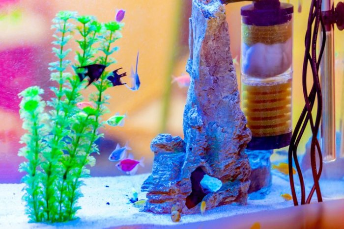 Filtr akvária slouží k odstraňování škodlivých látek