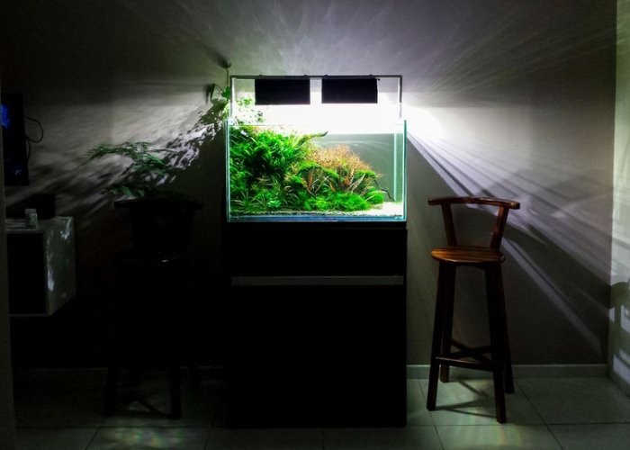 Osvětlené akvárium v ​​obývacím pokoji