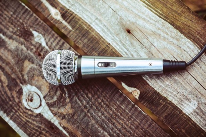 Stříbrný karaoke mikrofon