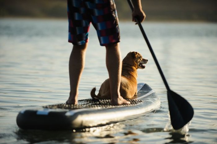 Pádlo paddleboard – rukojeť, žerď