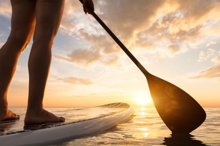 Paddleboard s pádlem