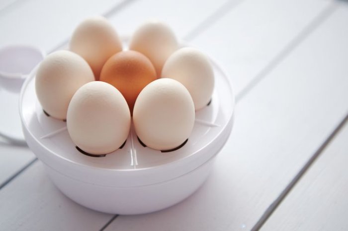 Bílý vařič vajec na 8 vajíček