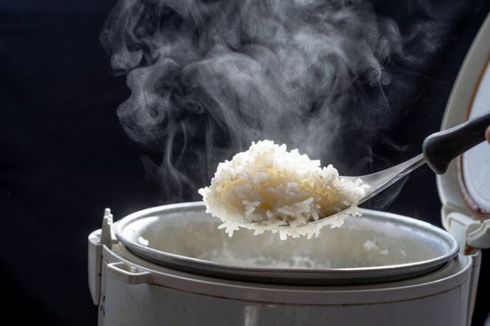 Elektrický hrnec na vaření rýže