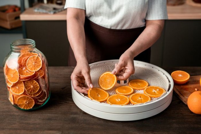 Sušení pomerančů v sušičce ovoce