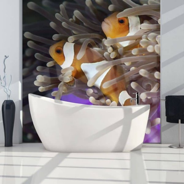 Fototapeta Nemo v kúpeľni