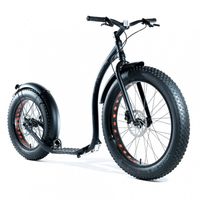 fatmax bike