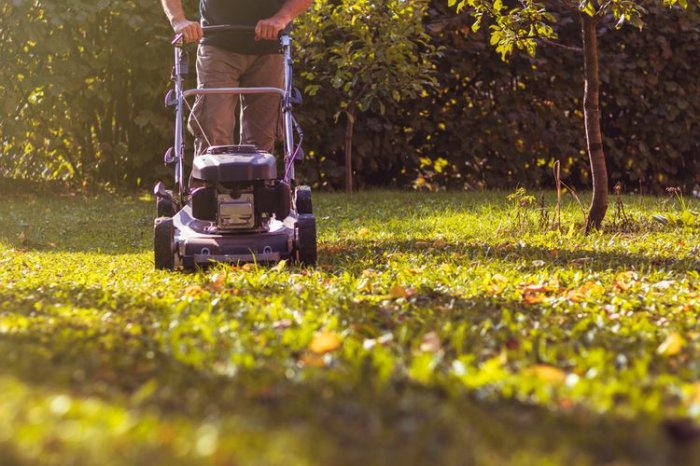 Elektrické a benzínové záhradné kosačky - Ako vybrať kosačku