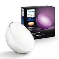 Philips Hue Go